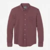 Button-down-T-shirt