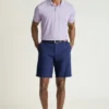 Performance Golf Shirt: enfärgad och randig Performance Golf Shirt: enfärgad och randig